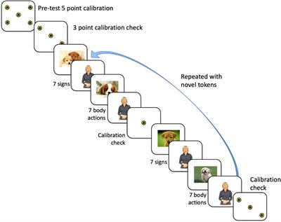 Visual attention for linguistic and non-linguistic body actions in non-signing and native signing children